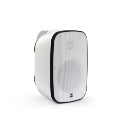 AURASONICS DENSE-5T-WH — настенный громкоговоритель