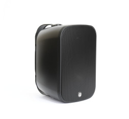 AURASONICS DENSE-6T — настенный громкоговоритель
