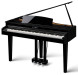 KAWAI DG30 EP — цифровое пианино