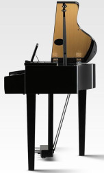 KAWAI DG30 EP — цифровое пианино