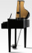 KAWAI DG30 EP — цифровое пианино