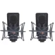 NEUMANN TLM 103 MT STEREO SET — набор микрофонов