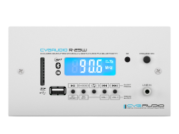 CVGAUDIO R-25W — трансляционный усилитель