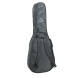 PROEL BAG210PN — чехол