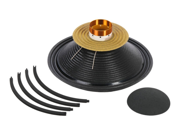 LAudio Recone-TDA-154EW1200neo-8