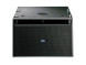 FBT MITUS 212FS — пассивный сабвуфер