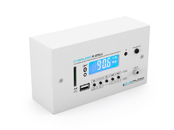 CVGAUDIO RESET-C40W — звукоусилительный комплект