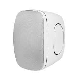 VOLTA BRAVO-650TW — настенный громкоговоритель