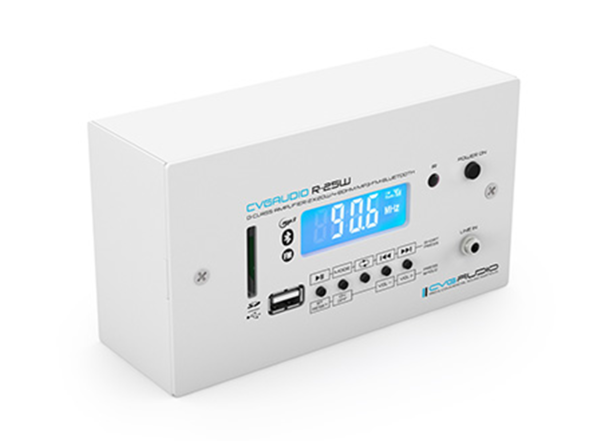 CVGAUDIO RESET-W40W — звукоусилительный комплект