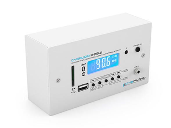 CVGAUDIO RESET-W80W — звукоусилительный комплект