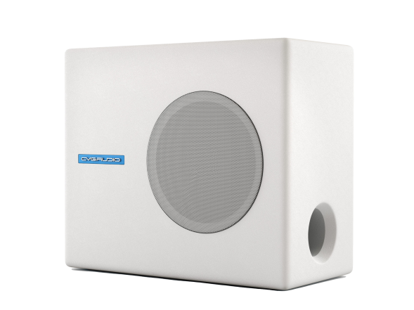 CVGAUDIO SUBone model A-6W — пассивный сабвуфер