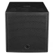 Wharfedale Pro DELTA X15B