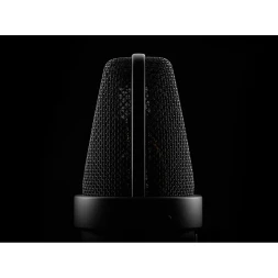 NEUMANN TLM 103 MT MONO SET — студийный конденсаторный микрофон