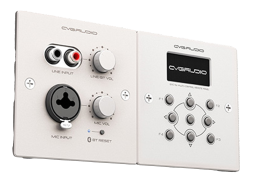 CVGAUDIO PW-IN/W — микрофонный предусилитель