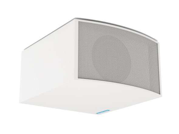 CVGAUDIO SUBone model C-8W — пассивный сабвуфер