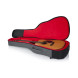 Gator GT-ACOUSTIC-GRY