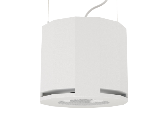 CVGAUDIO SUBone model D-6W — пассивный сабвуфер