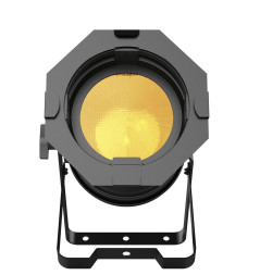 ACME STAGE PAR 100 IP WW — светодиодный прожектор PAR