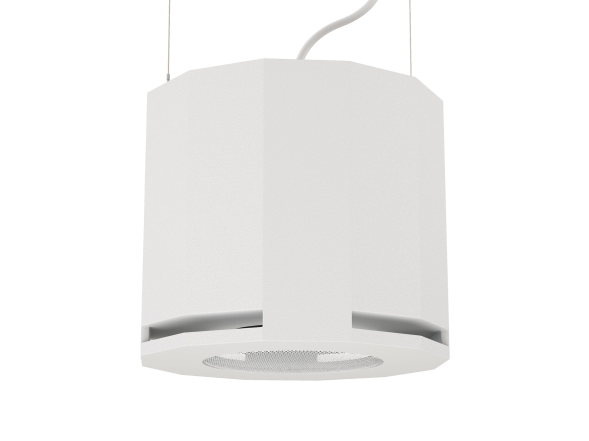 CVGAUDIO SUBone model D-6W/CR — пассивный сабвуфер