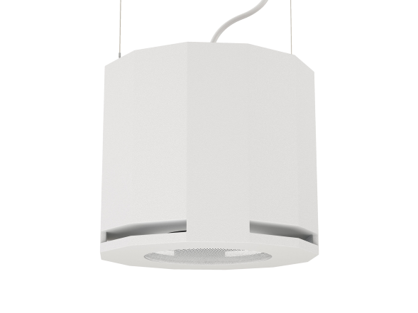 CVGAUDIO SUBone model D-6W/CR/T — пассивный сабвуфер