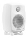 GENELEC G One BW — активная акустическая система