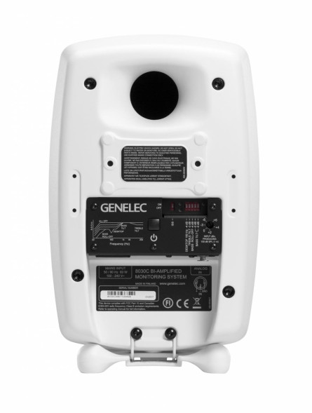 GENELEC 8030CW — активный студийный монитор